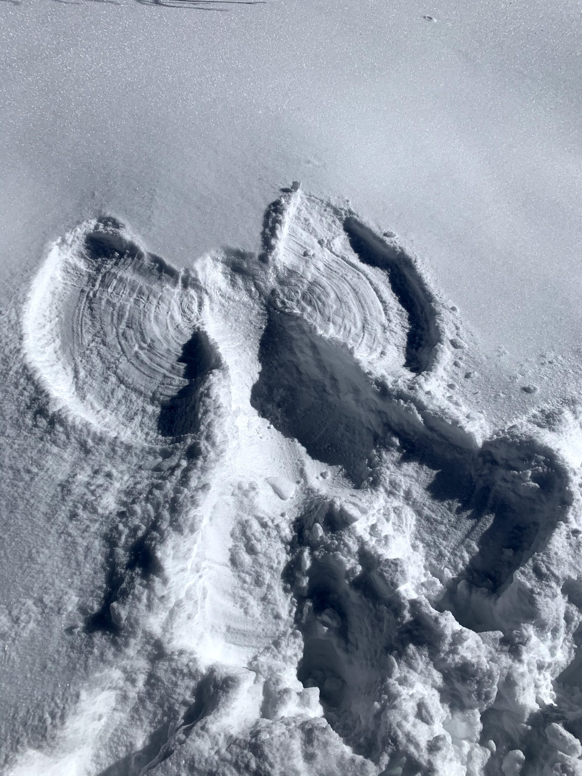Snow Angel along a trail #snowangel 