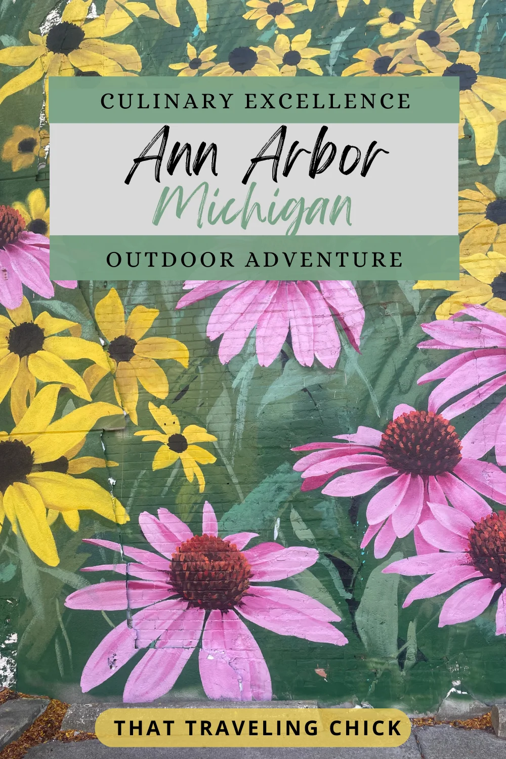 Ann Arbor Michigan